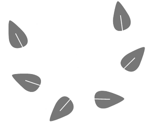 Indigo Selection